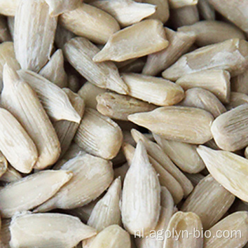 natuurlijke gezonde bulk witte zonnebloempitten kernel